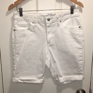 Bermuda Shorts